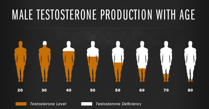 GNC Testosterone Booster